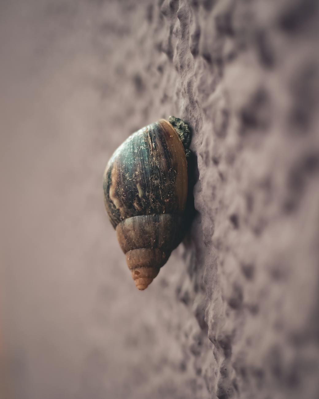 The Art of Slow Living: Embracing a Calmer Lifestyle